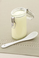 delicious fresh yogurt