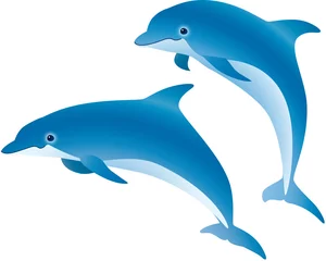 Afwasbaar Fotobehang Dolfijnen Dolfijn springen