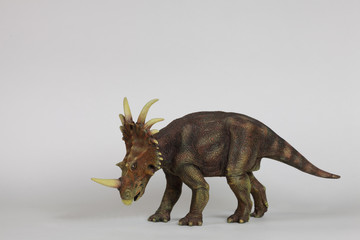 Triceratopsid Dinosaur © Pedro Bigeriego