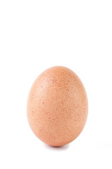 Studio shot of a brown egg, white background