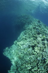 Blue Hole, Dahab,Egypt