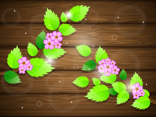 Blossoming cherry on wooden background. Vector illustration.