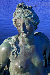 france,ile de france,78 : versailles, parc du chateau, parterre