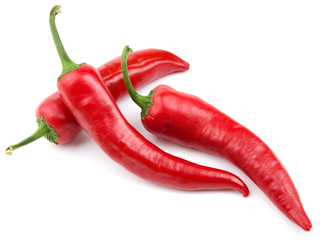 Three red hot chili pepper isolated on a white background