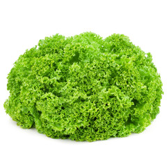 Fototapeta premium Lettuce isolated on white background. Studio macro