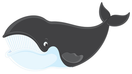 Fototapeta premium Bowhead whale