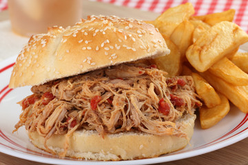 Pulled Pork Sandwich Closeup