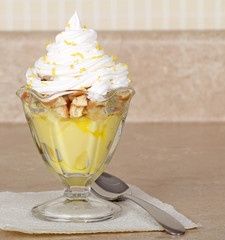 Lemon Pudding Dessert