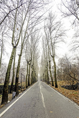 Obraz premium The street of Sa'dabad Palace in Tehran, Iran