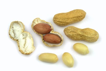 Peanut