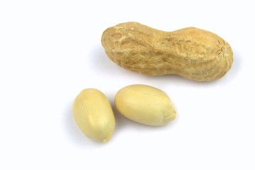 Peanut on white background