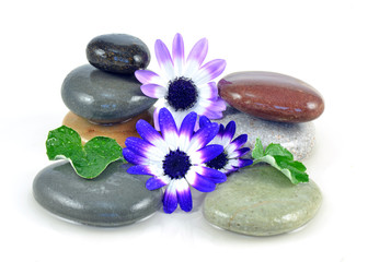 Flowers and Zen Stones Spa