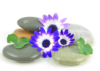 Zen Stones with flowers