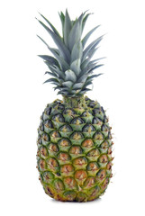 Whole pineapple
