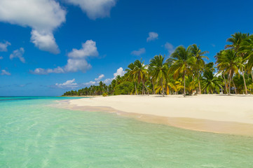 Caribbean Beach