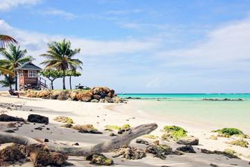 Pigeon point Tobacco