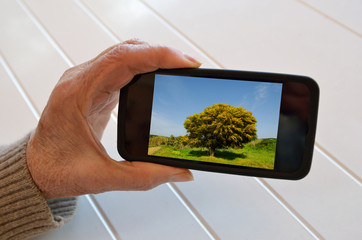 smartphone