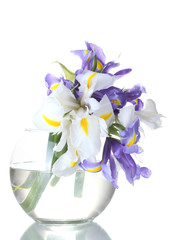 Beautiful bright irises in vase isolated on white
