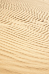 Fototapeta na wymiar sand dunes texture