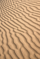 sand waves texture