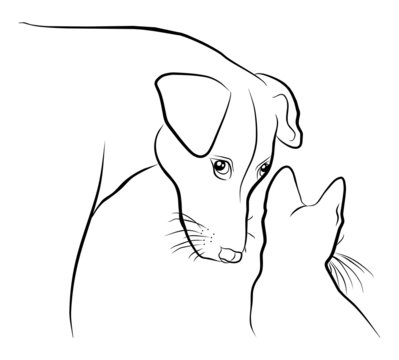 cat and dog - freehand on white background
