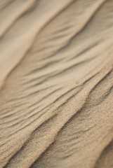 sand background
