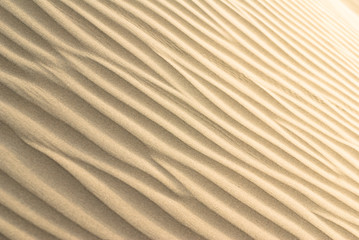 sand wave pattern