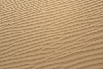 background of sand