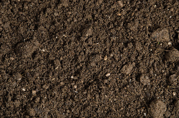 close-up of a soil