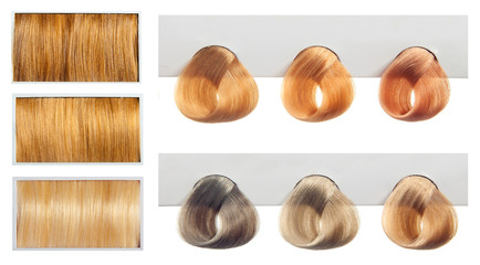 Locks of hair dyed in various shades.