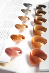Locks of hair dyed in various shades.