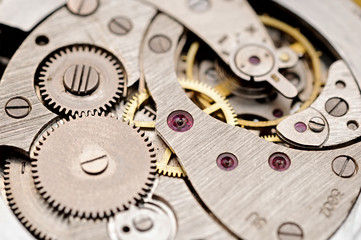 gears and mainspring in the mechanism of a pocket watch (pocketw