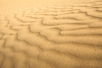 sand dunes texture