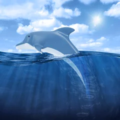 Fototapete Rund Schöner Delphin, der aus dem Wasser springt © Rashevskyi Media