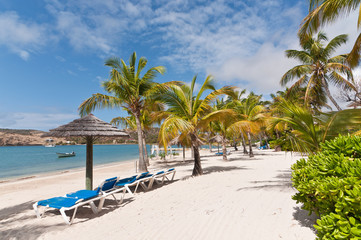Fototapeta premium A Sunny Caribbean Beach with Sunloungers and Umbrellas