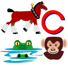 C clydesdale chimpanzee crocodile