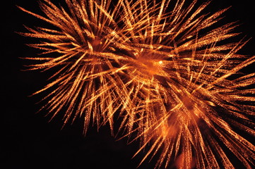 long exposure of multiple fireworks against a black sky