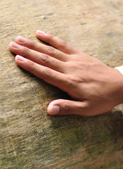 A hand, placed on the trunk