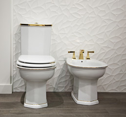 The toilet and bidet