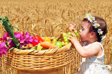 Jewish Holidays - Shavuot