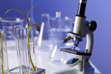 Green plants in biology laborotary