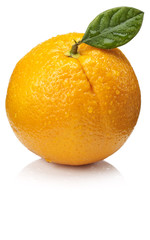 Orange fruit  isolated on white background