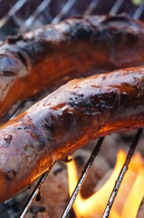 Grillen