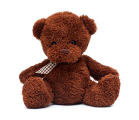 teddy bear isolated on white background