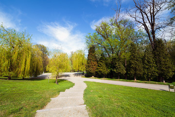 Landscape in the park