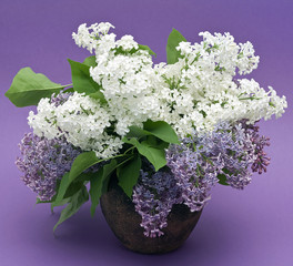 lilac bouquet