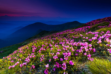 Obraz premium mountain landscape
