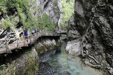 Fototapeta na wymiar Vintgar Canyon, Slowenien