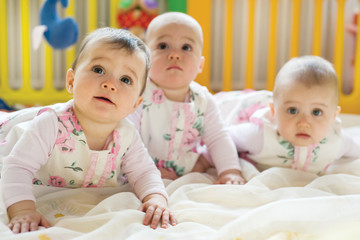 Baby triplets - 40795468