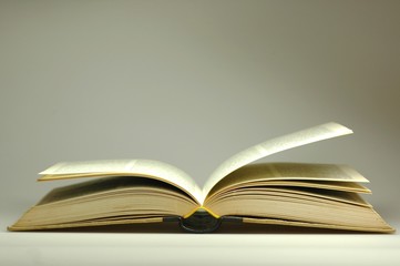 Altes aufgeschlagenes Buch